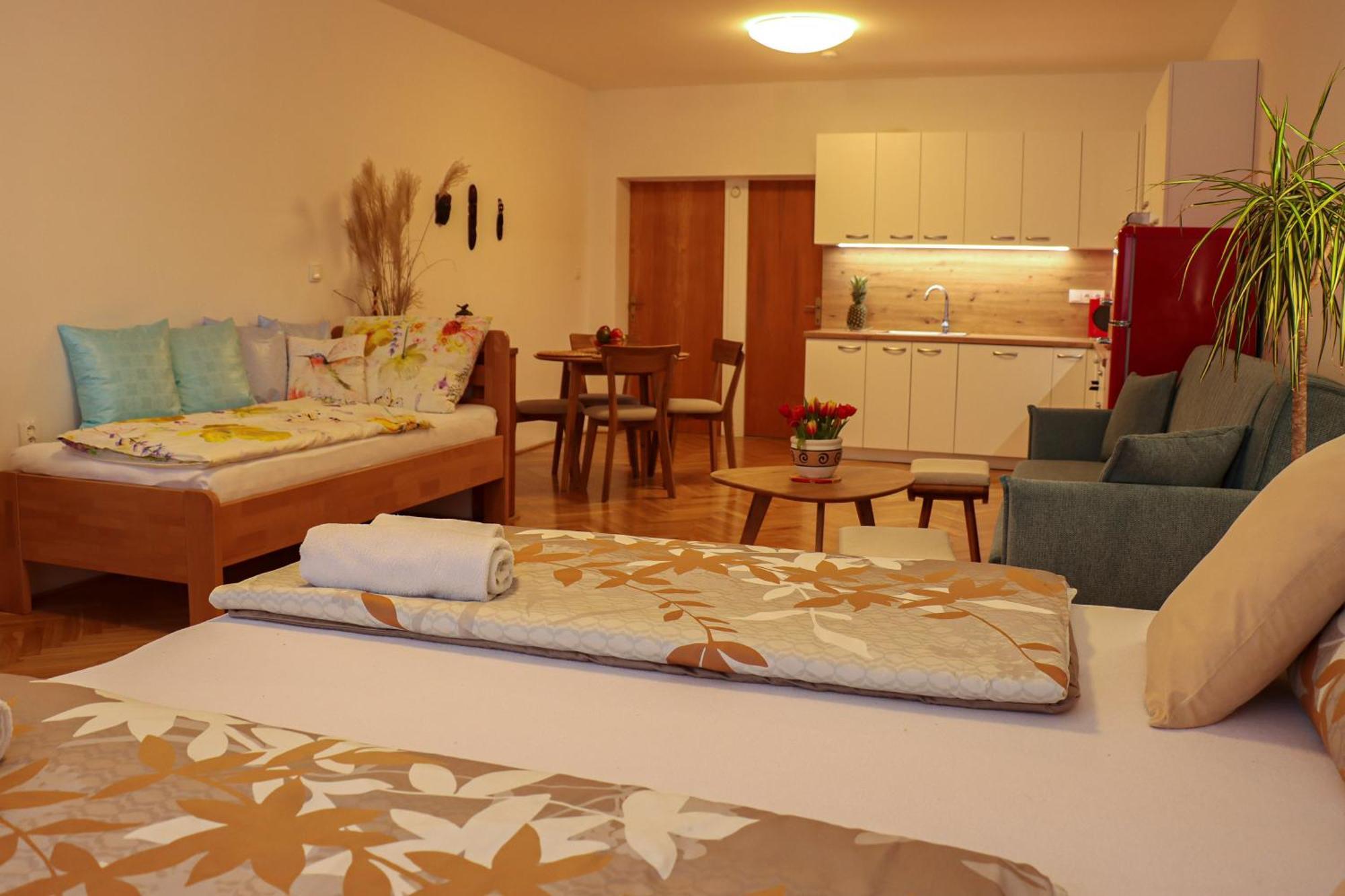 Ubytovani U Lipy Nachod Room photo
